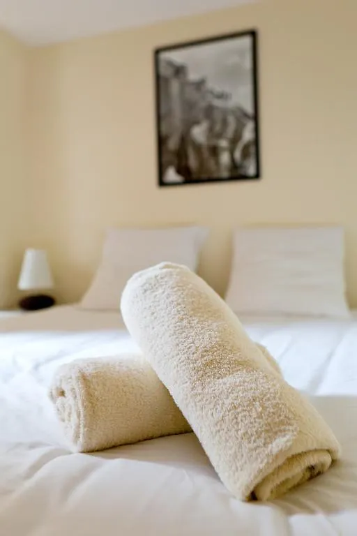 Helbronner Apartment Chamonix